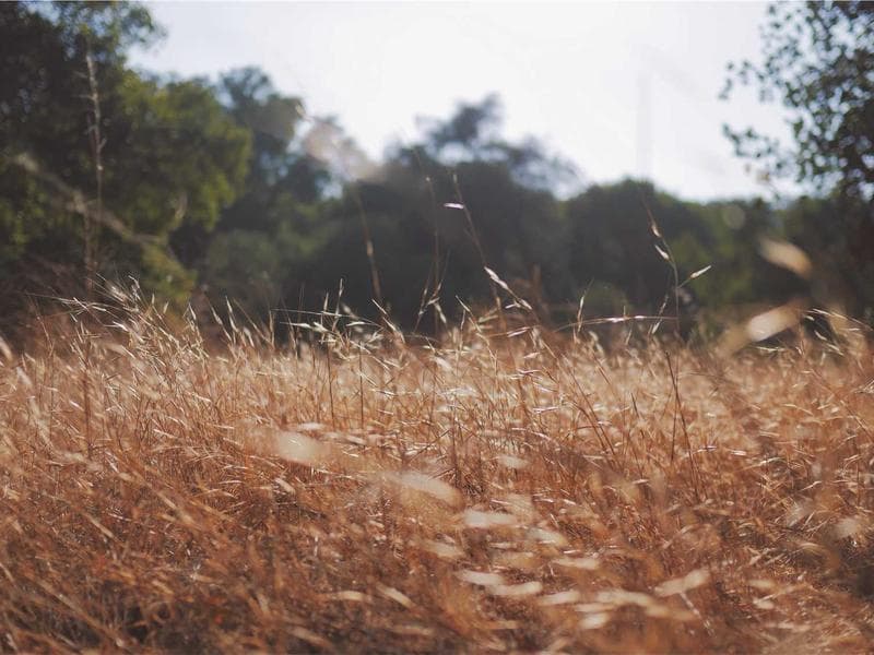 Greece – 6 Nights 7 Days